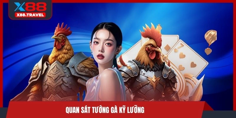 Quan sát tướng gà kỹ lưỡng